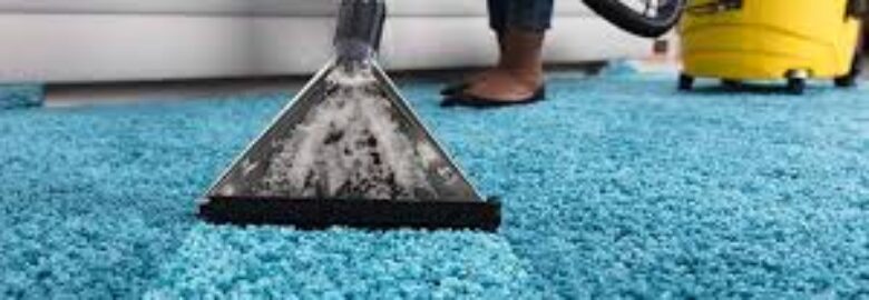 CARPET CLEANING / ΑΦΟΙ ΠΑΠΑΓΙΑΝΝΟΠΟΥΛΟΙ ΟΕ / ΤΡΙΠΟΛΗ