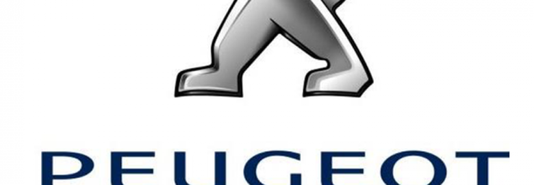 PEUGEOT – ΠΟΛΥΧΡΟΝΙΔΟΥ ΔΕΣΠΟΙΝΑ ΜΟΝΟΠΡΟΣΩΠΗ ΕΠΕ