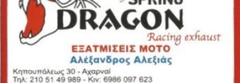 SPRING DRAGON EXHAUST -ΑΛΕΞΙΑΣ ΑΛΕΞΑΝΔΡΟΣ X.