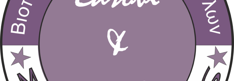 ΣΥΤΖΑΚΗΣ ΕΠΙΠΛΑ / ΒΕΛΕΣΤΙΝΟ ΜΑΓΝΗΣΙΑΣ