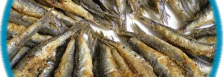 ΙΧΘΥΟΠΩΛΕΙΟ – ΘΑΛΑΤΤΑ / ΠΕΙΡΑΙΑΣ