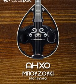 ΟΡΓΑΝΟΠΟΙΕΙΟ – ΜΟΥΣΙΚΑ ΟΡΓΑΝΑ | ΞΥΛΟΗΧΟΣ | ΘΕΣΣΑΛΟΝΙΚΗ