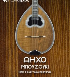 ΟΡΓΑΝΟΠΟΙΕΙΟ – ΜΟΥΣΙΚΑ ΟΡΓΑΝΑ | ΞΥΛΟΗΧΟΣ | ΘΕΣΣΑΛΟΝΙΚΗ