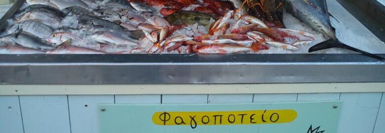 ΕΣΤΙΑΤΟΡΙΟ – ΤΑΒΕΡΝΑ | « ΜΠΑΚΑΛΙΚΟ ΤΗΣ ΠΑΡΑΛΙΑΣ » | ΣΚΙΑΘΟΣ