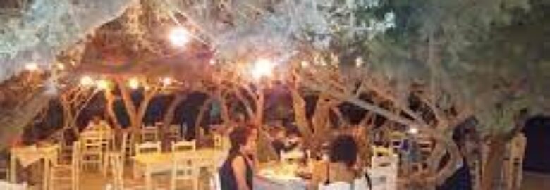 ΕΣΤΙΑΤΟΡΙΟ – ΤΟ ΤΡΑΠΕΖΑΚΙ | ΠΥΡΓΑΚΙ ΝΑΞΟΥ